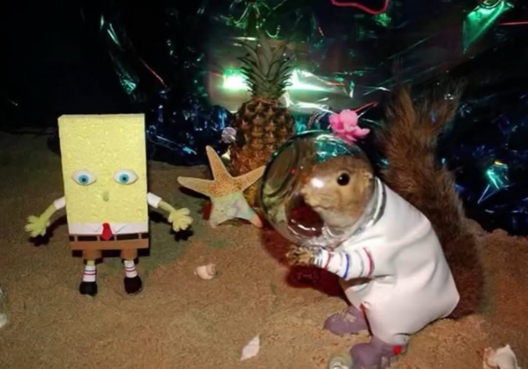 sponge.mp4 (@spongemp4_) on Twitter photo 