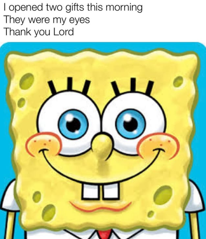 sponge.mp4 tweet media