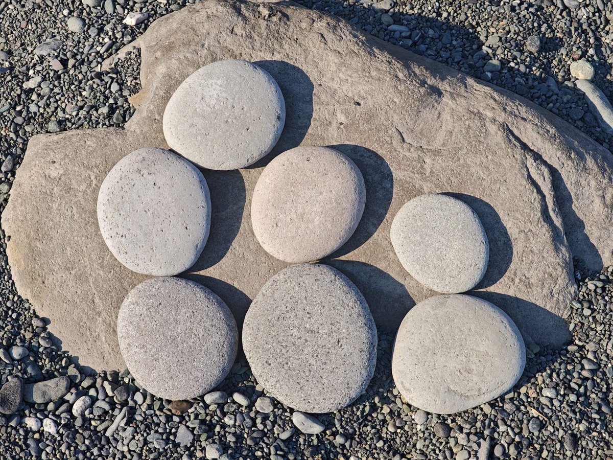 海で石を拾いました