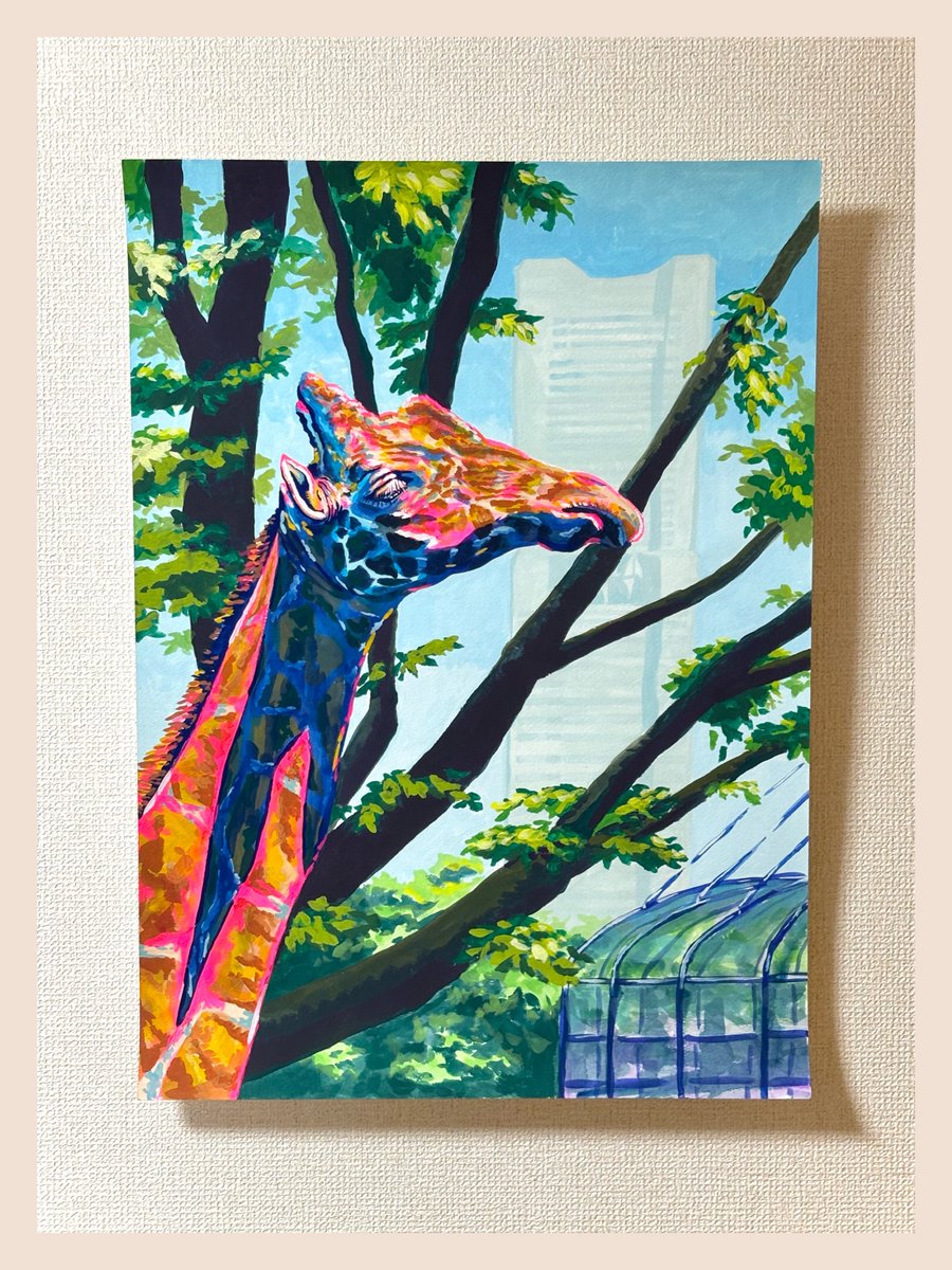 モデル🦒さんに絵を見せてきました！ 葉っぱ食べるのに夢中でした