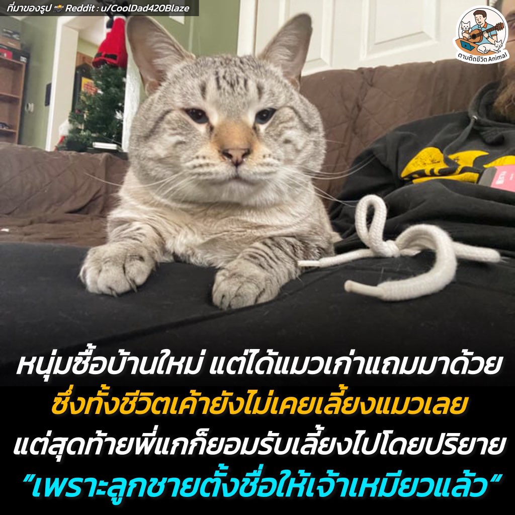 ตามติดชีวิตAnimal tweet media