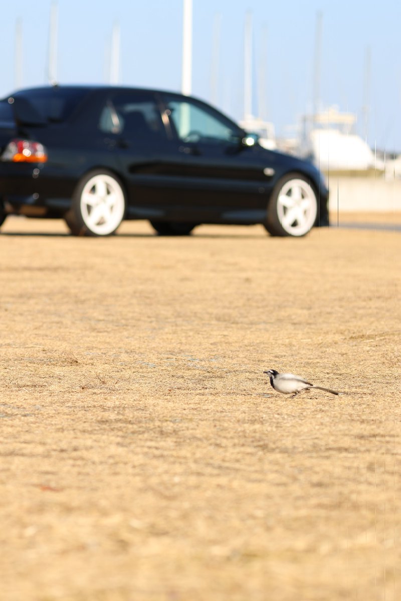 FPGA121's tweet image. 大洗エボミバードウォッチング部