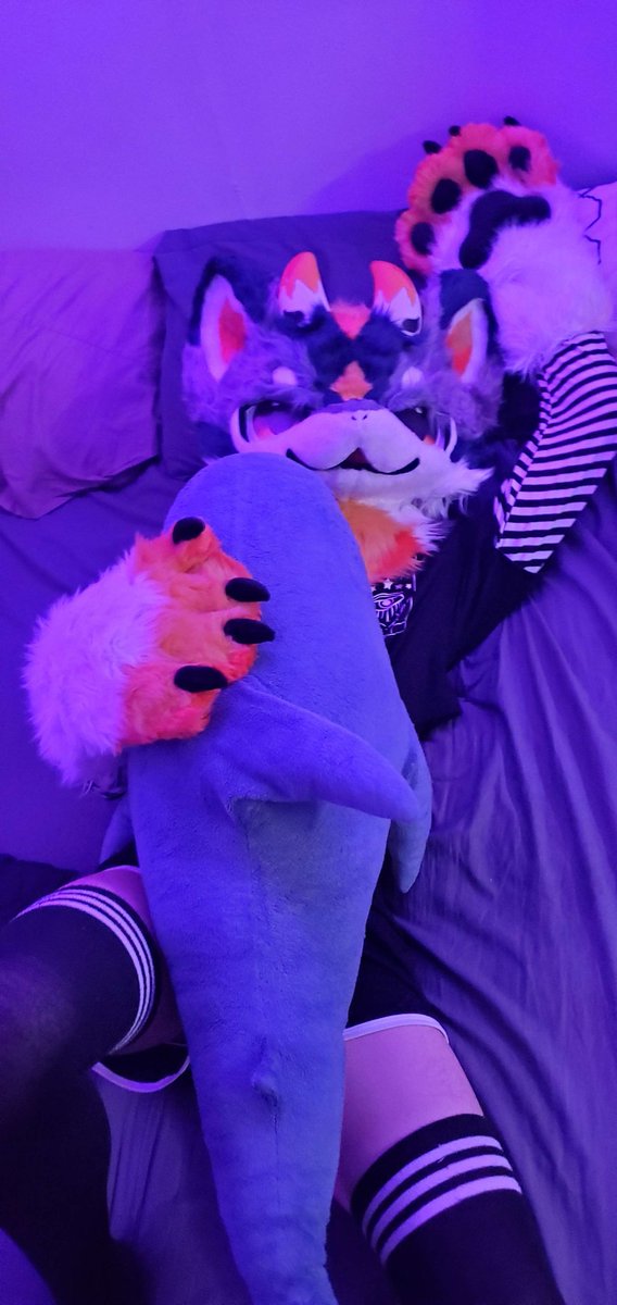 FrostfireLemon's tweet photo. Wanna cuddle~?

📸: @MarkDaWizard
#fursuit #furry #fursuiter #kemono https://t.co/2AtnYxOsLG