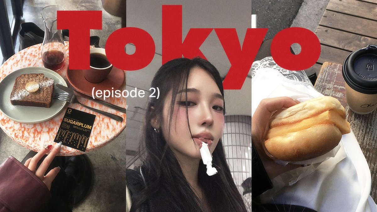노지선갤러리 tweet media