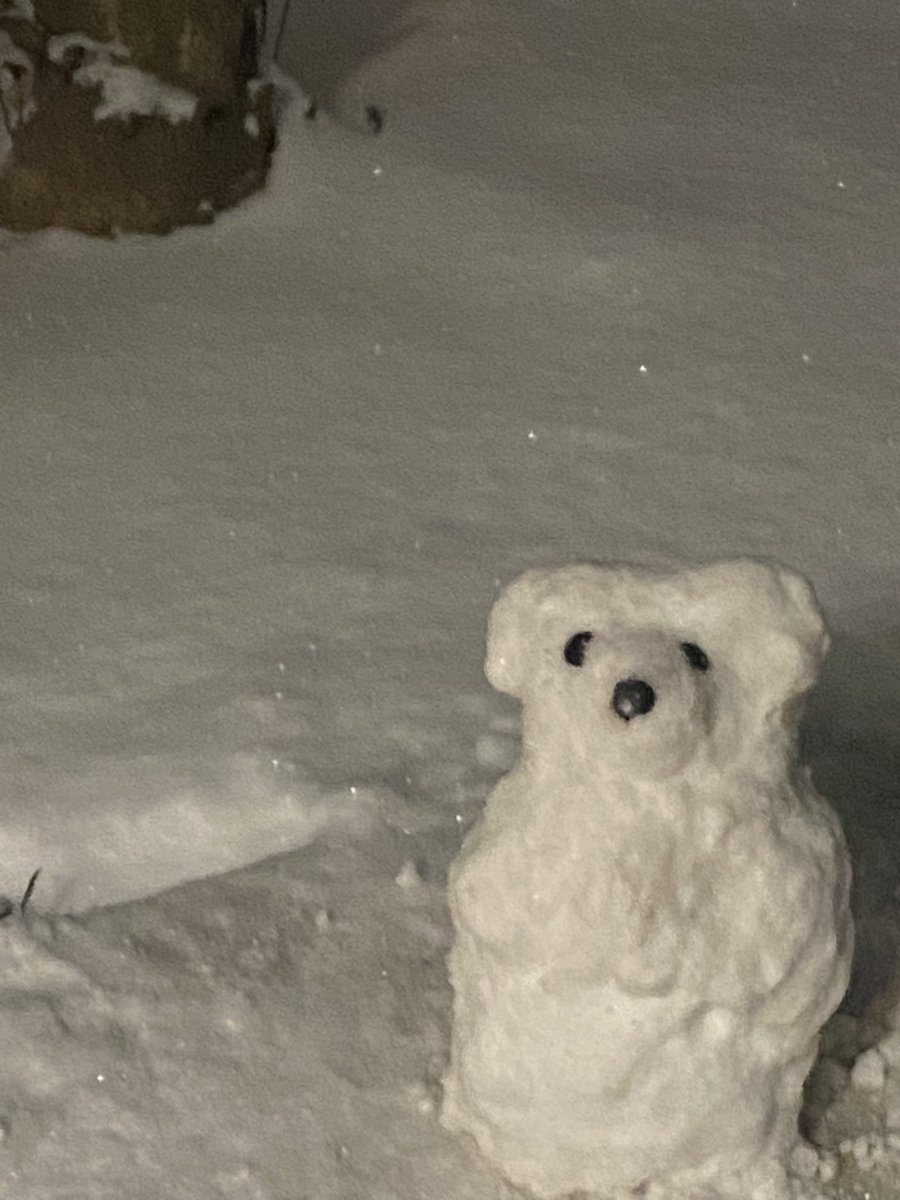 콩순이 tweet media