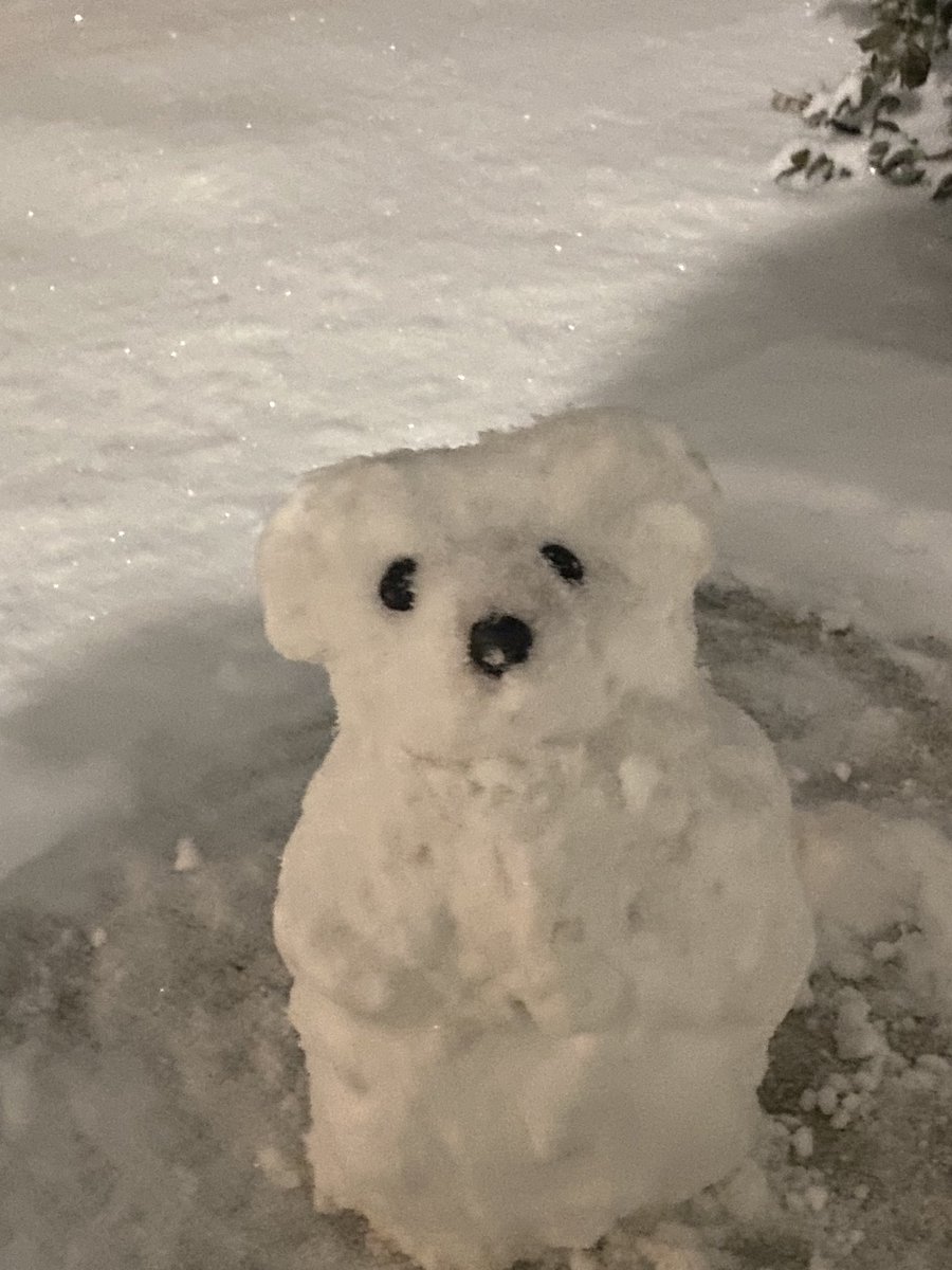 콩순이 tweet media