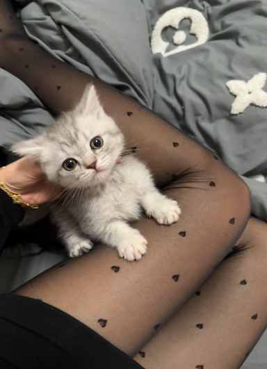 乌鲁木齐 tweet media