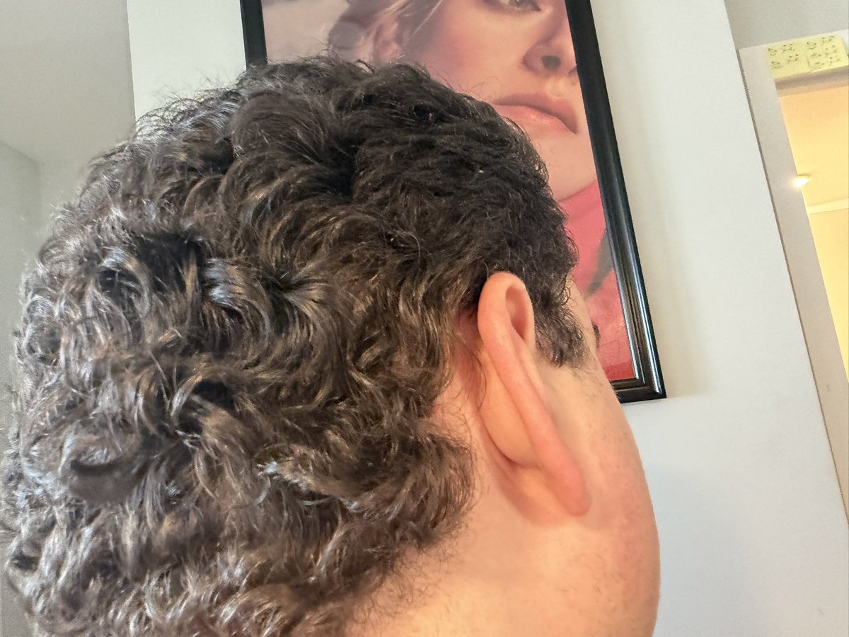 denvbear tweet media