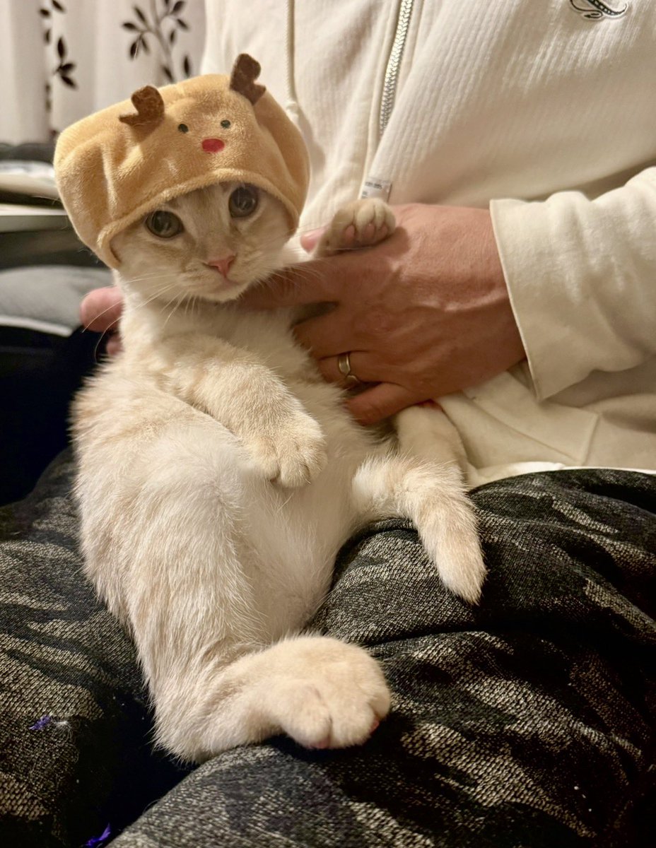 クマじいさん (@3UX7LKEdlvRVTTK) / Posts / X