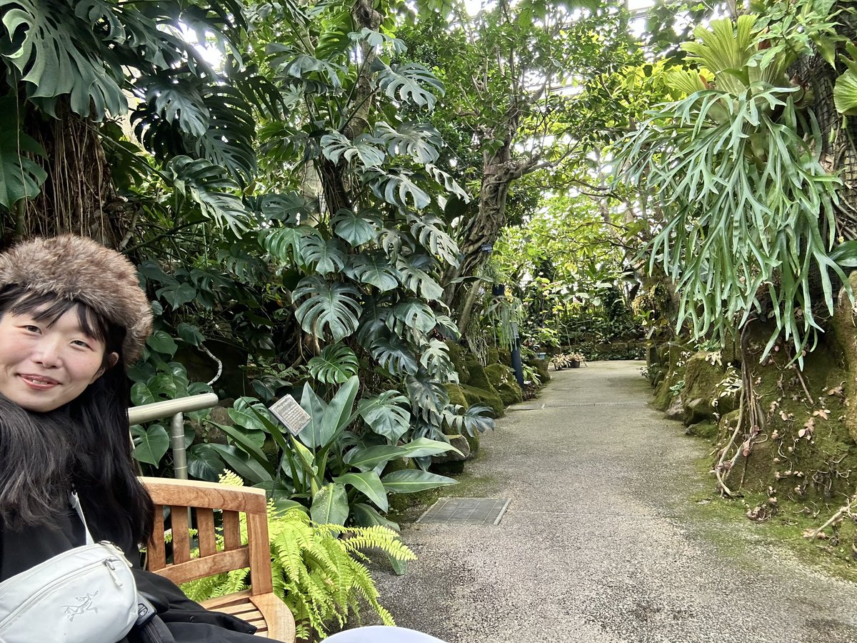 salanu21's tweet photo. 朝から植物園 癒される https://t.co/B4kKlxWfkD
