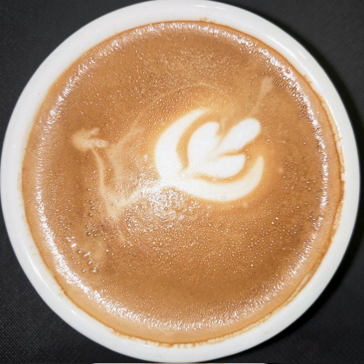 嘎—— 逼————

我肥家啦！！！！！