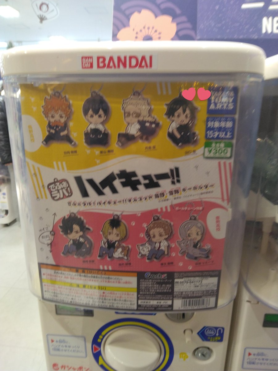 紫苑 tweet media