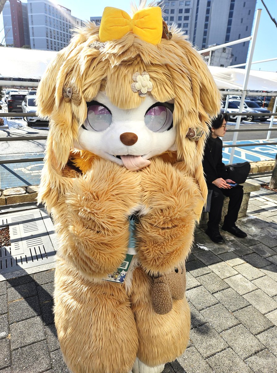 🦇샤이 Shy / 🐱 엔비 Envy / SH tweet media