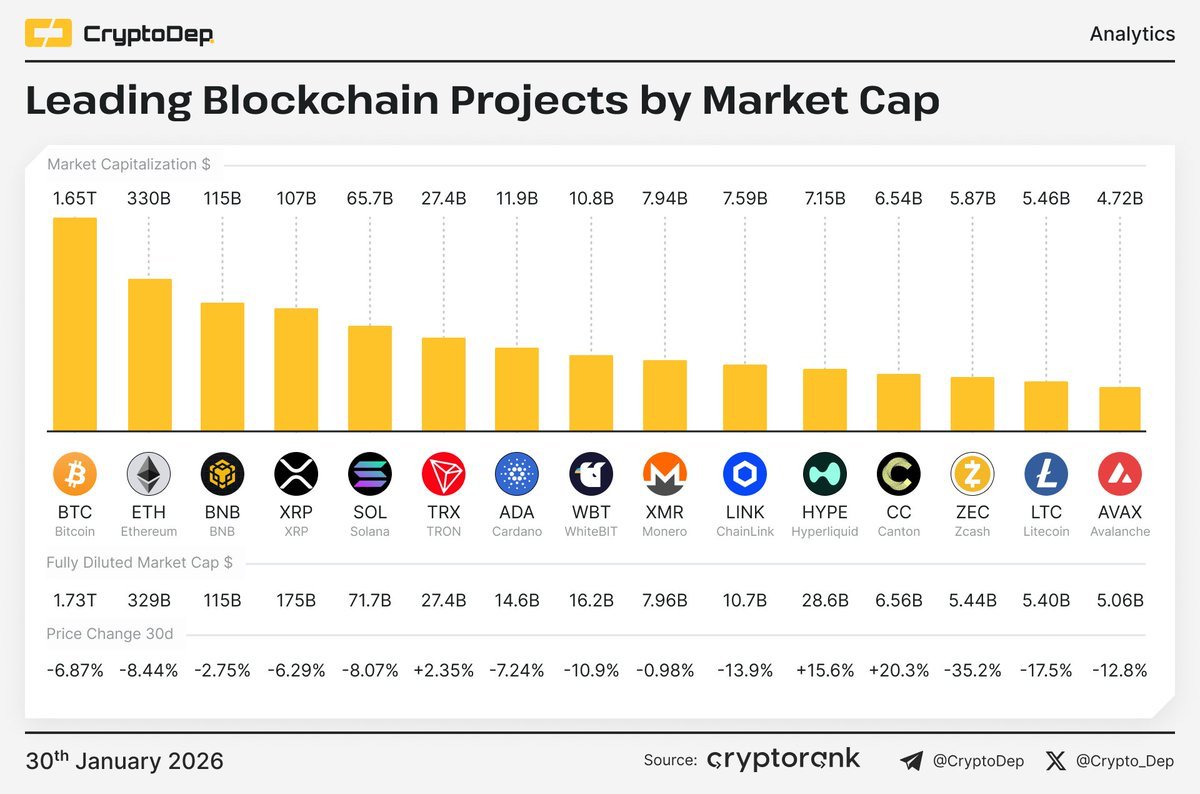 $CC cracking the top 20 is a reminder that utility compounds, and networks that settle real activity tend to outlast the noise.