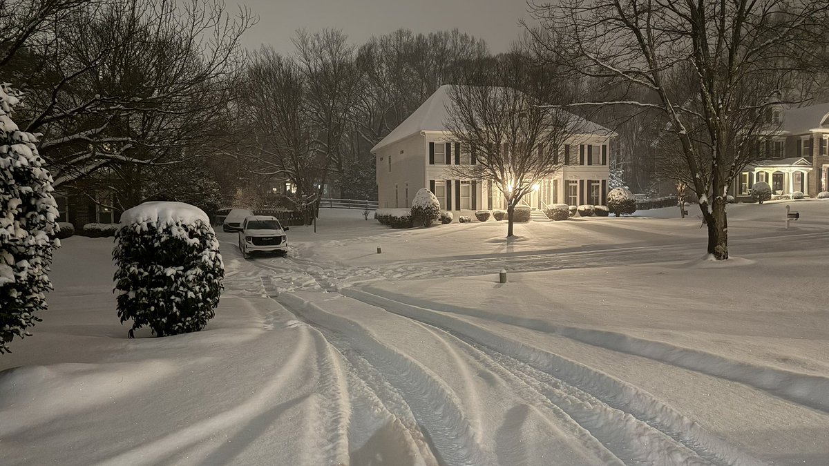 Mark Semm tweet media