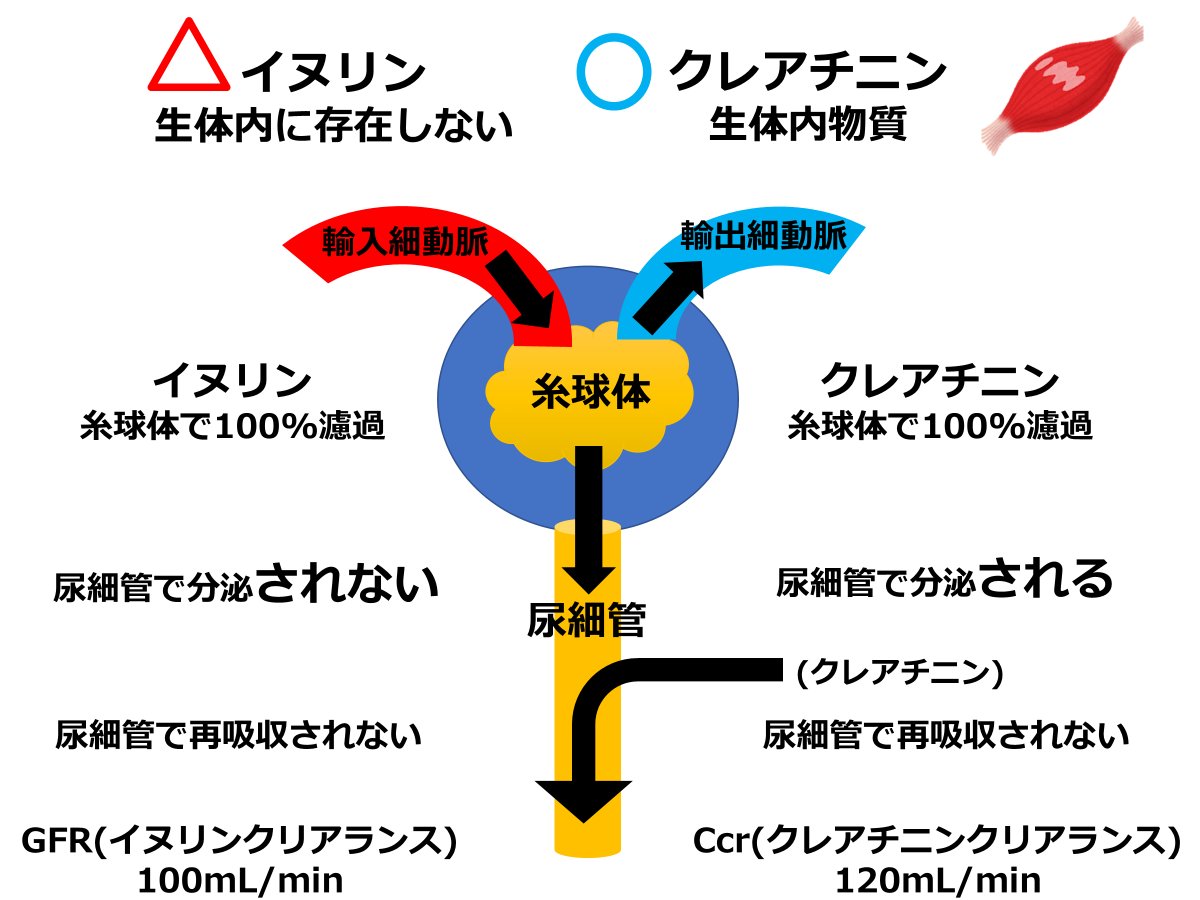 ちーの / 臨床薬学 tweet media
