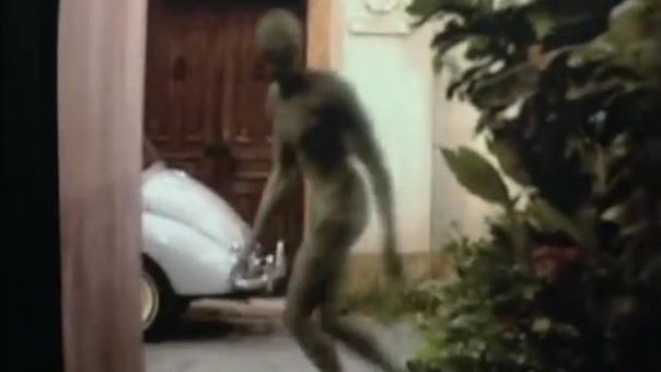 RetroVerse83 #SF2TURBOCHAMPION 🥇📼 tweet media