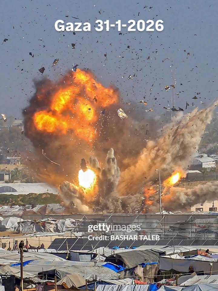 Timesofgaza's tweet image. 