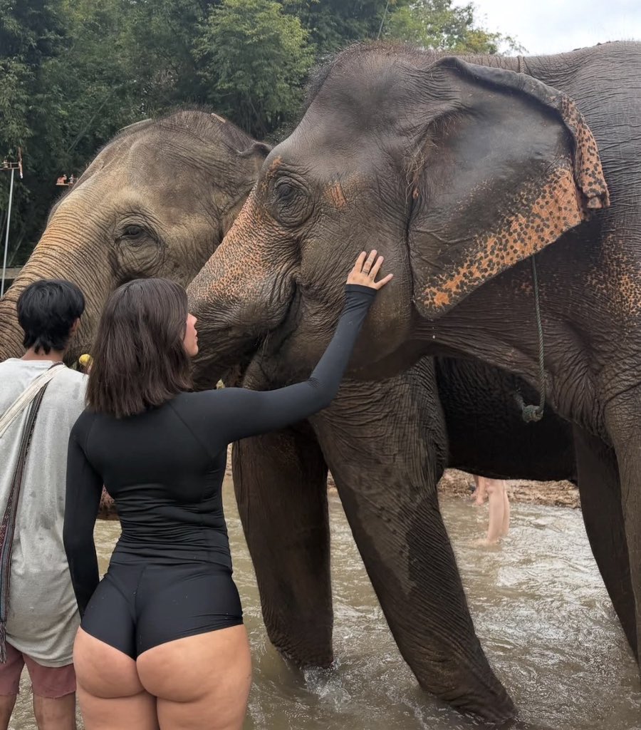 leodey4u's tweet image. Nature is beautiful ❤️