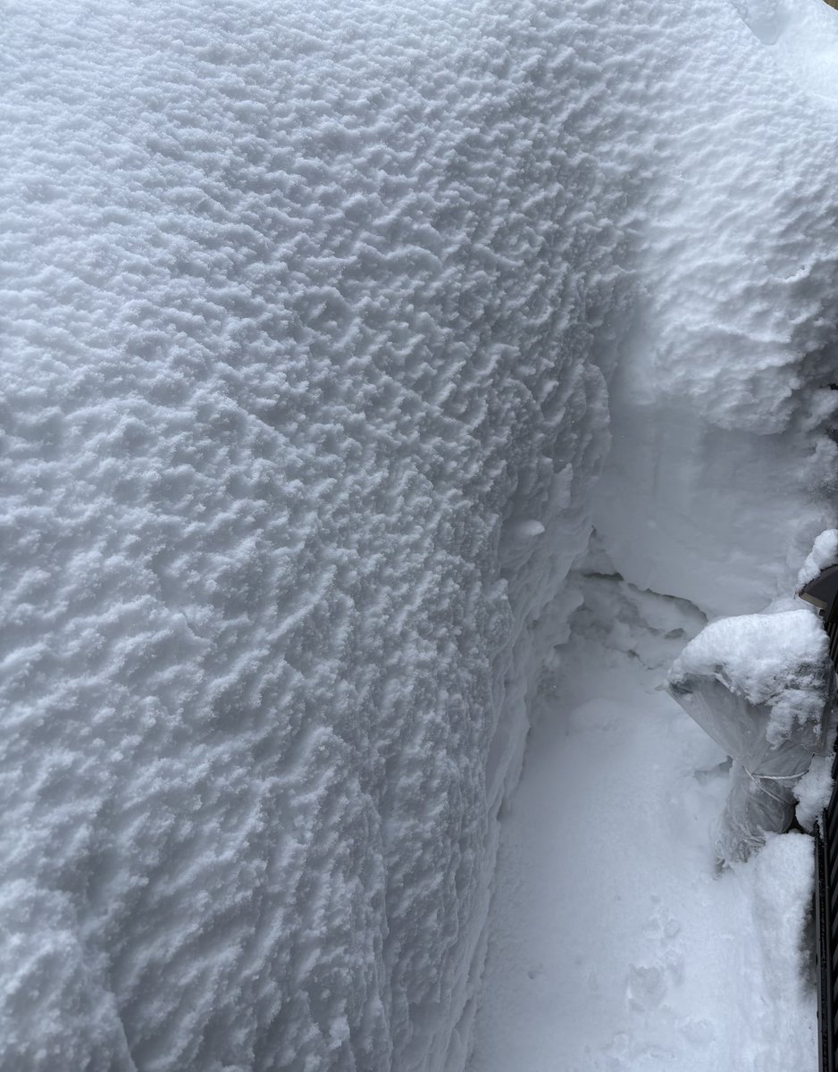 Post by えるちゃん on X: 雪〜半端ない😰