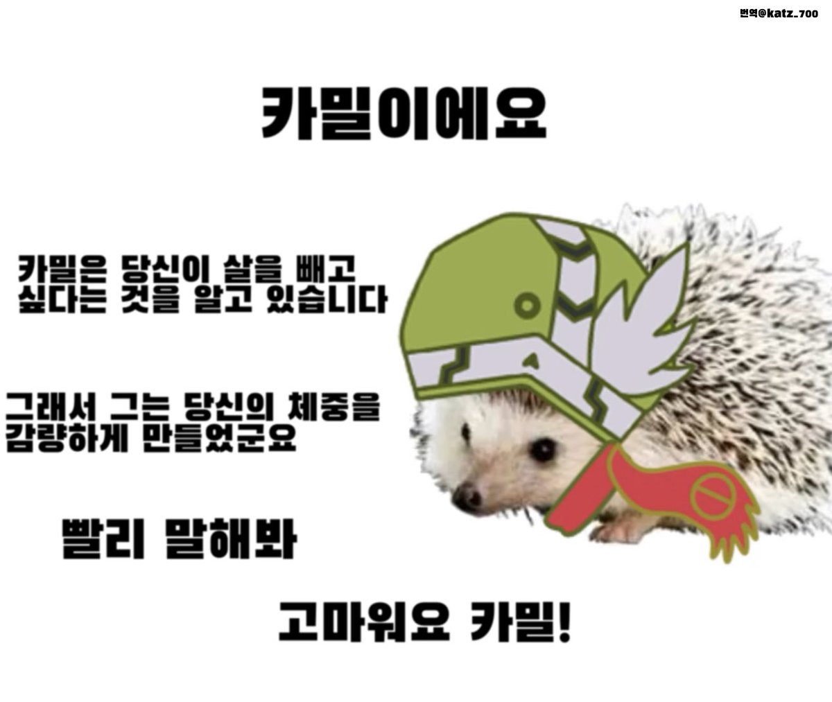 RAYCAMILLOVE's tweet image. #레카_번역모음
공식 카밀도치 짤 번역