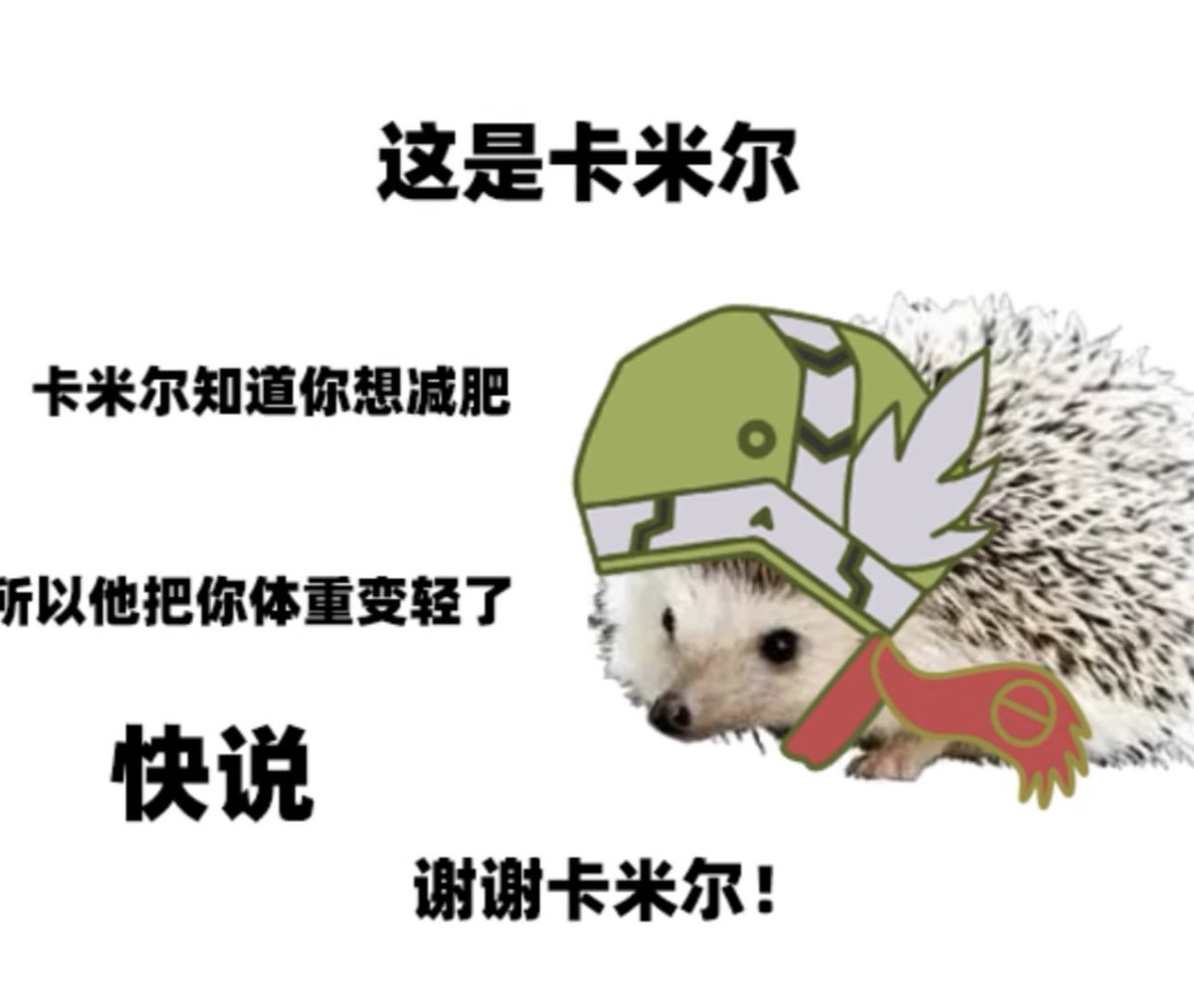 RAYCAMILLOVE's tweet image. #레카_번역모음
공식 카밀도치 짤 번역