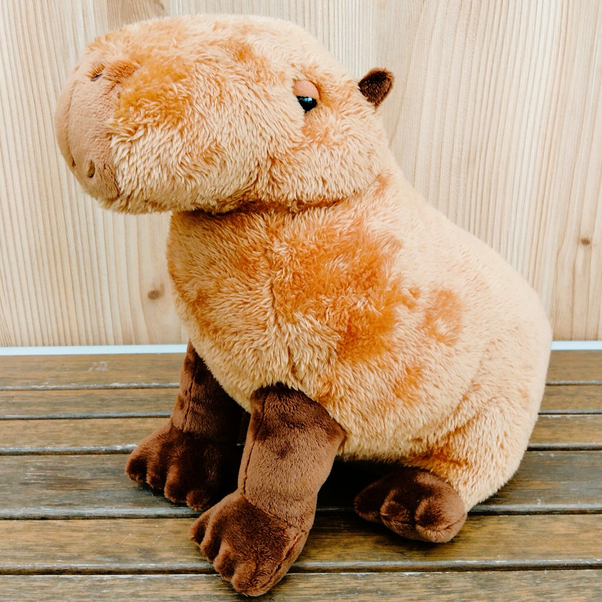 新商品「大きなカピバラぬいぐるみ」 飼育員監修、ボリュームたっぷり