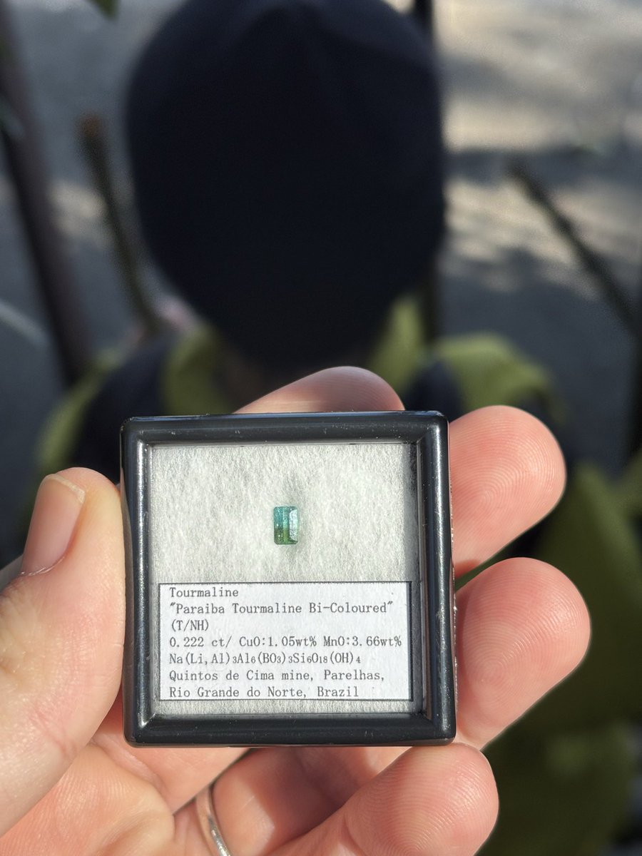 shm (@lttjd8i1LrAMsy9) / Posts / X