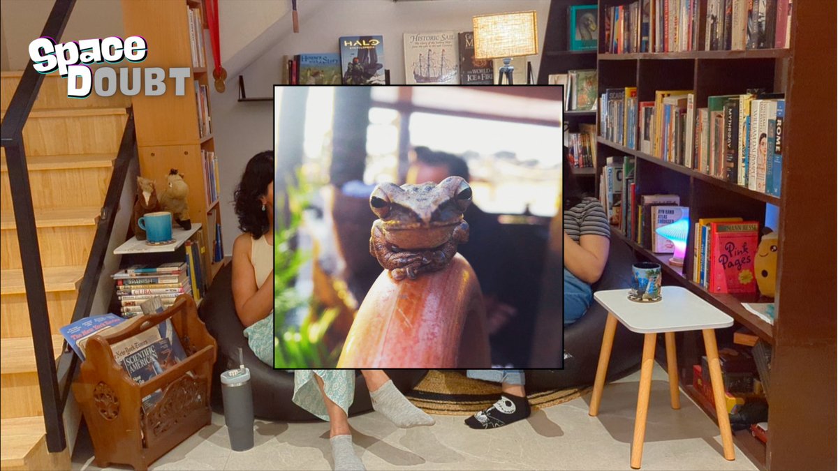 ananyabananyaa's tweet photo. One of my favourite things about the @spacedoubtpod process has been including fun little elements of us!

To hear about antifreeze frogs and the story about the cutest frog I've ever met, tune in at 52:00🐸 https://t.co/UY2H4P5gJD