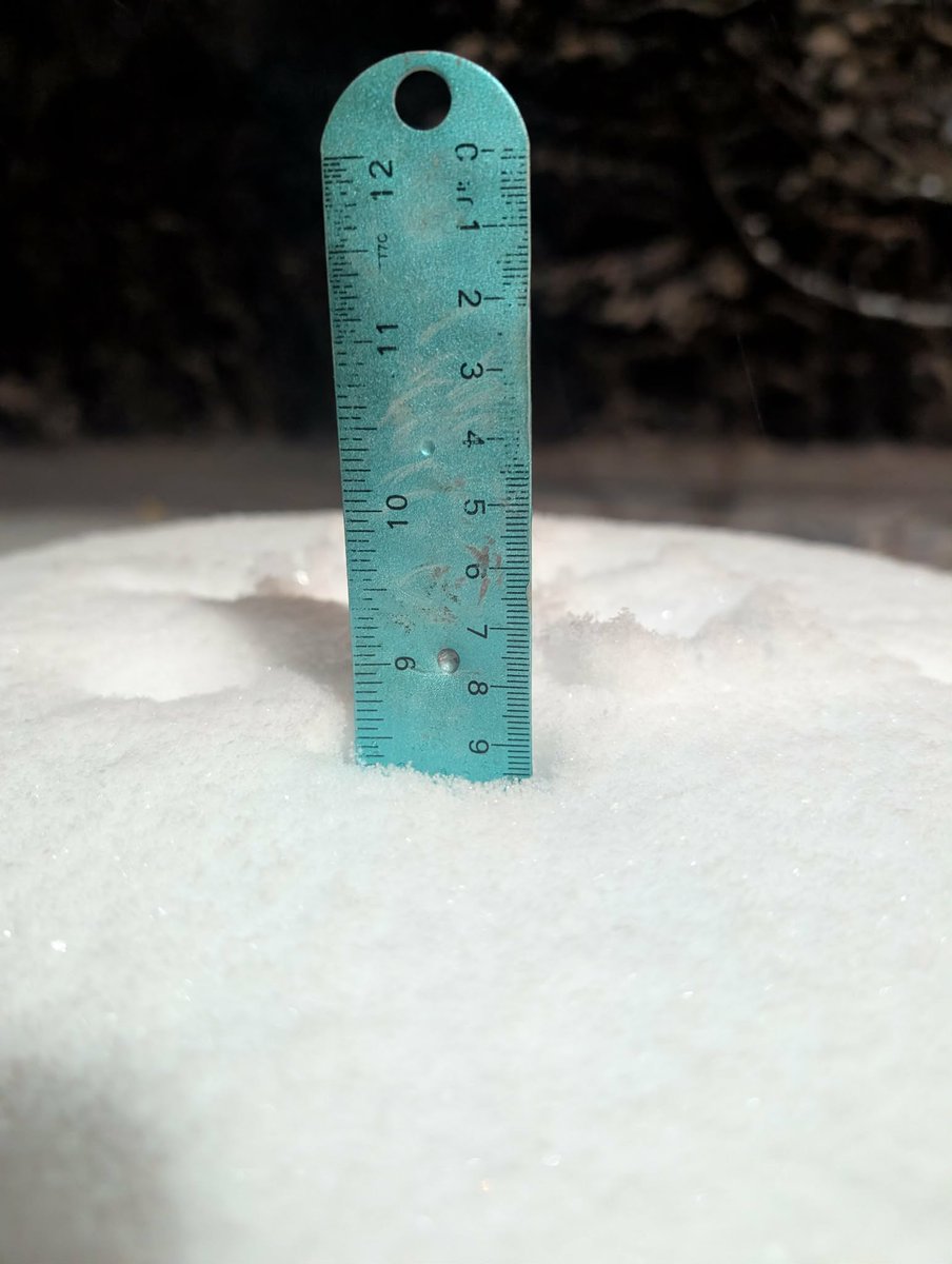 RechyWX's tweet photo. 8.4" 12:50AM in Indian Land, SC @NWSColumbia https://t.co/VCT7K5UKO6