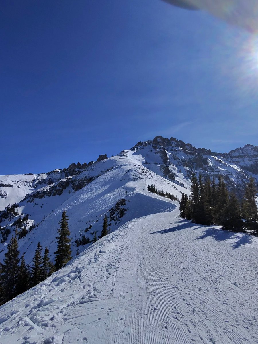 Adam Lawrence 🇺🇸 tweet media