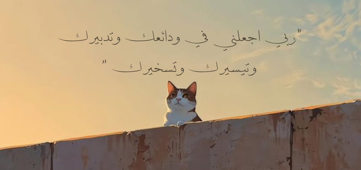 MoonTrassi688's tweet image. 