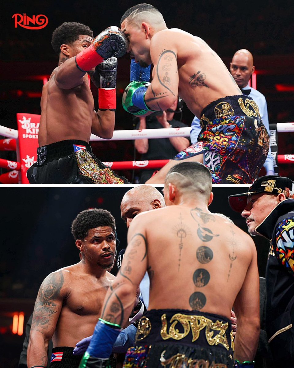 Dom Anderson tweet media