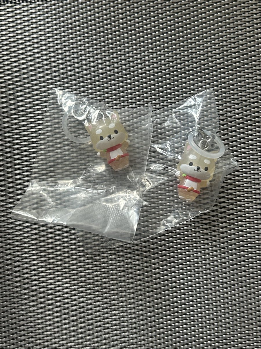 matokichi:)🦋 ꒰ঌ(◜𖥦◝ )໒꒱ tweet media