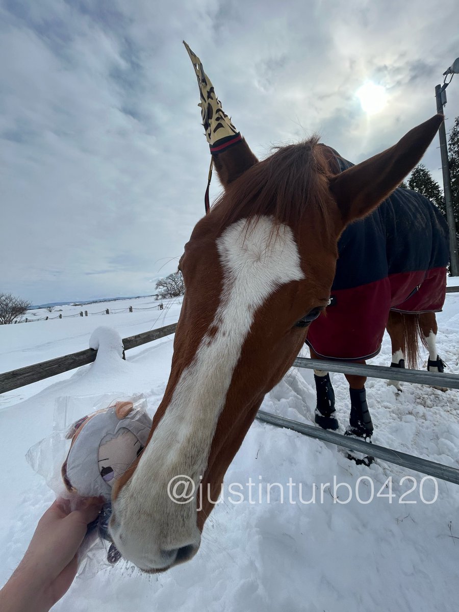 GOGOターボさん（ジャスティンターボ） (@justinturb0420) / Posts / X