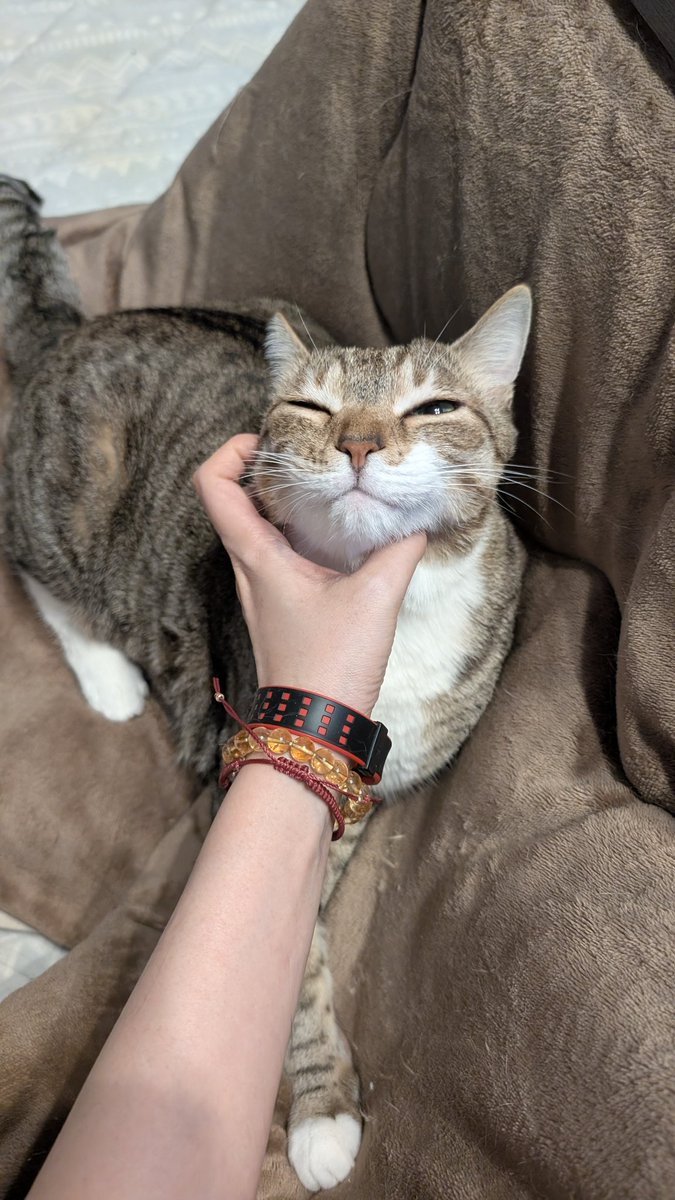 Ryo-1(ﾘｮｰｲﾁ) (@kRCxXQ95whwSOqI) / Posts / X