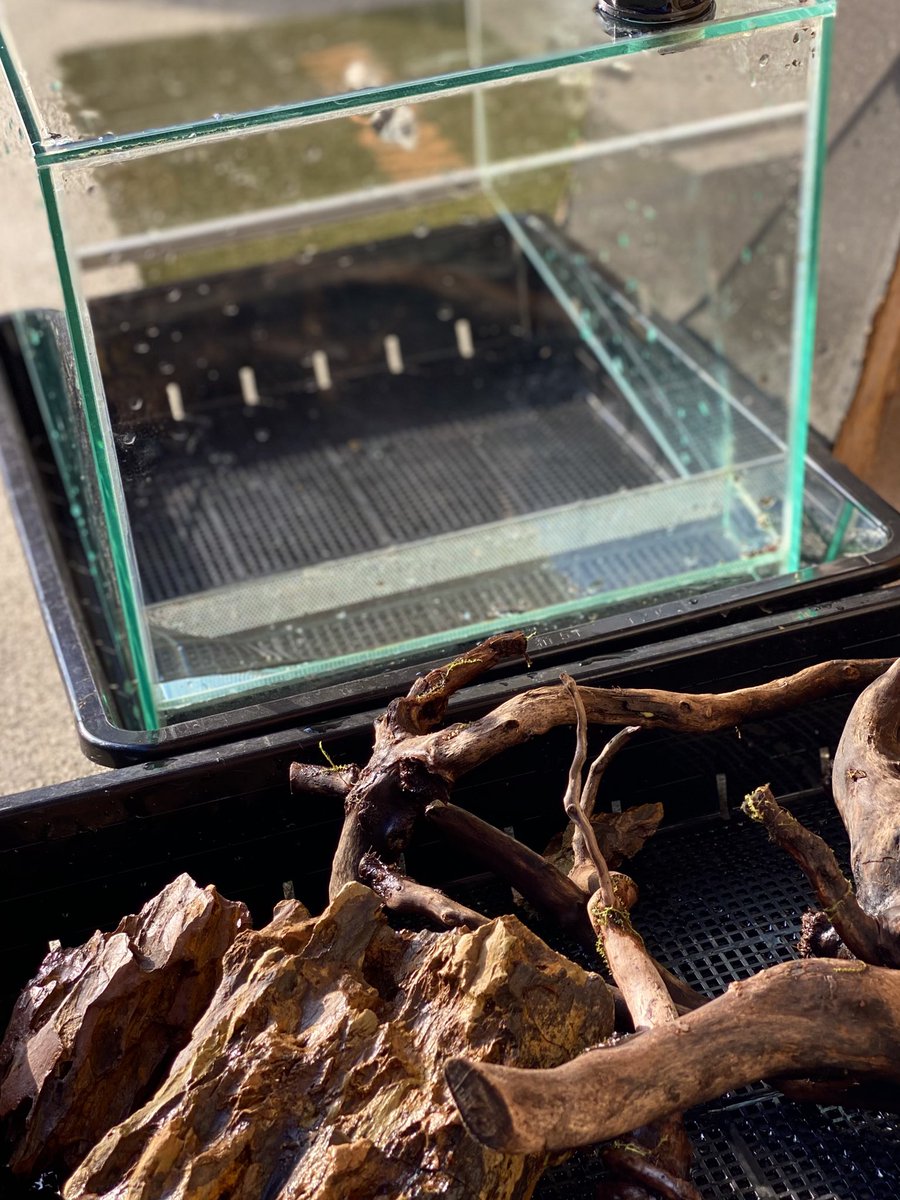 いつもより少しあたたかいので3045パルダ解体しちゃった