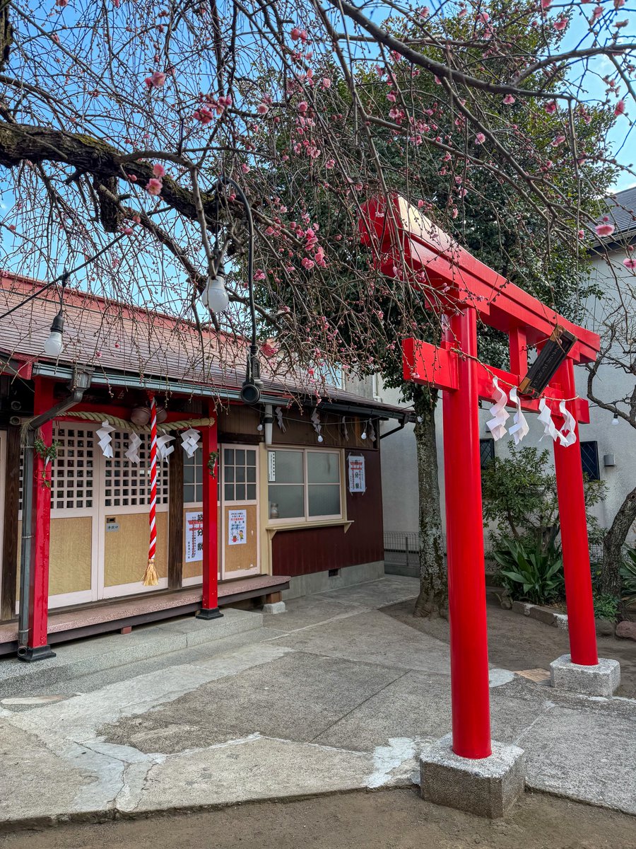 20260201
2月が始まった
2月最初の日曜日
梅の花と鳥居
節分に備えた神社⛩️👹

#photograghy #写真好きな人と繋がりたい #キリトリセカイ