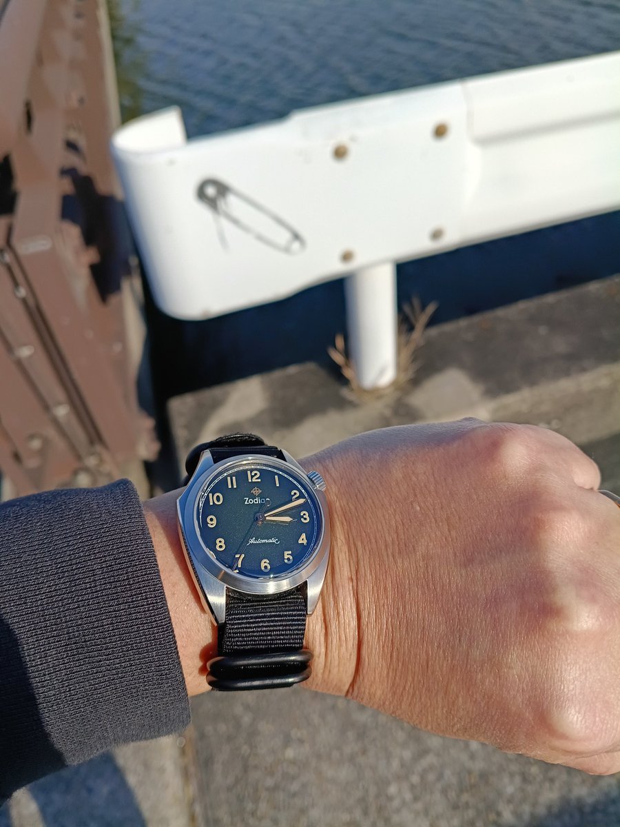 バンク シーもどき健在