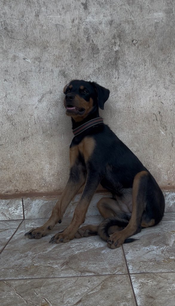 CEDA 🥀 🍃 tweet media