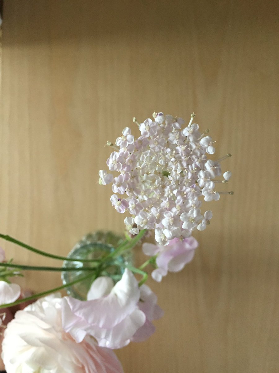 alwaysiIoveu's tweet image. 아 예뻐