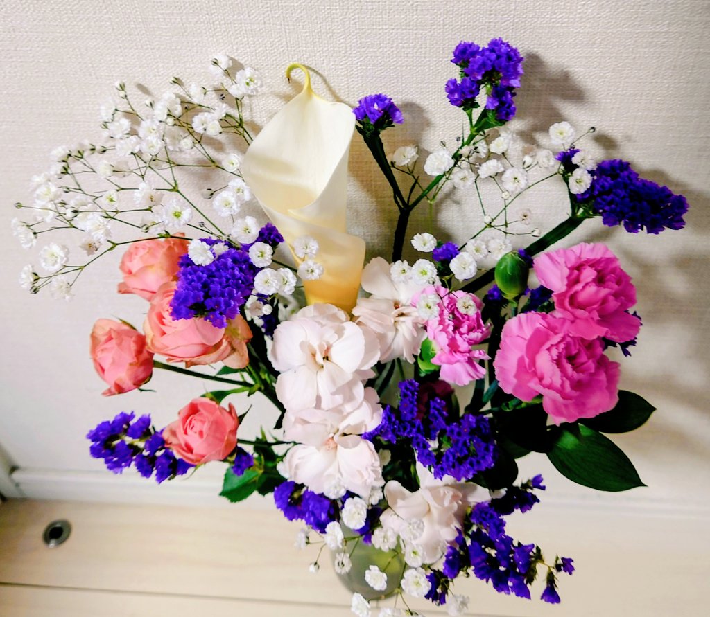 まめちゃん (@kyonkyon245) / Posts / X