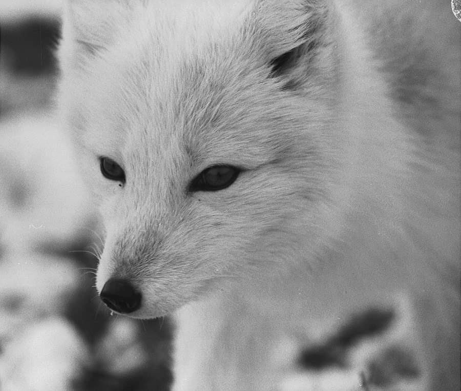 MarburyBirds tweet media