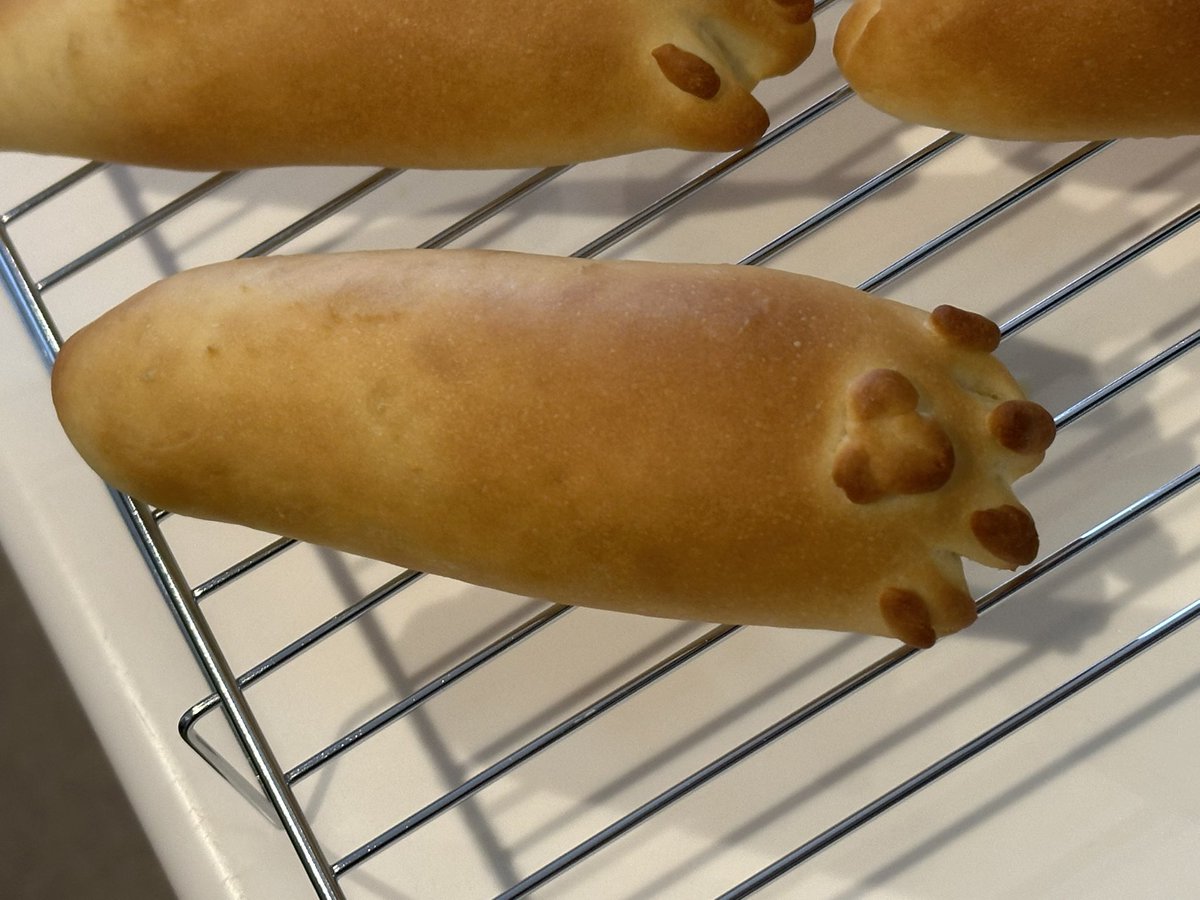 焼き上がりました！
パン焼き人生5年目初のマイレシピで作ったねこのてパン！
まあ反省点はいろいろありますな😓