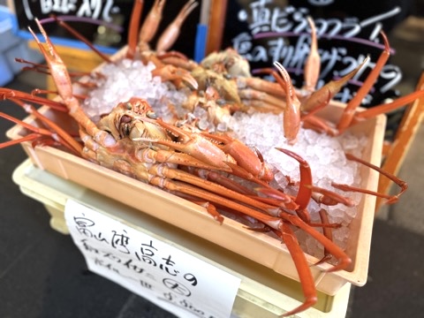 Yuichi Ray Matta tweet media