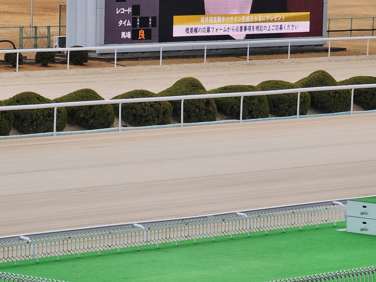 本日の馬場状態】 今日も｢良｣の発表です🐴！ 雨不足なのか？！昨日から