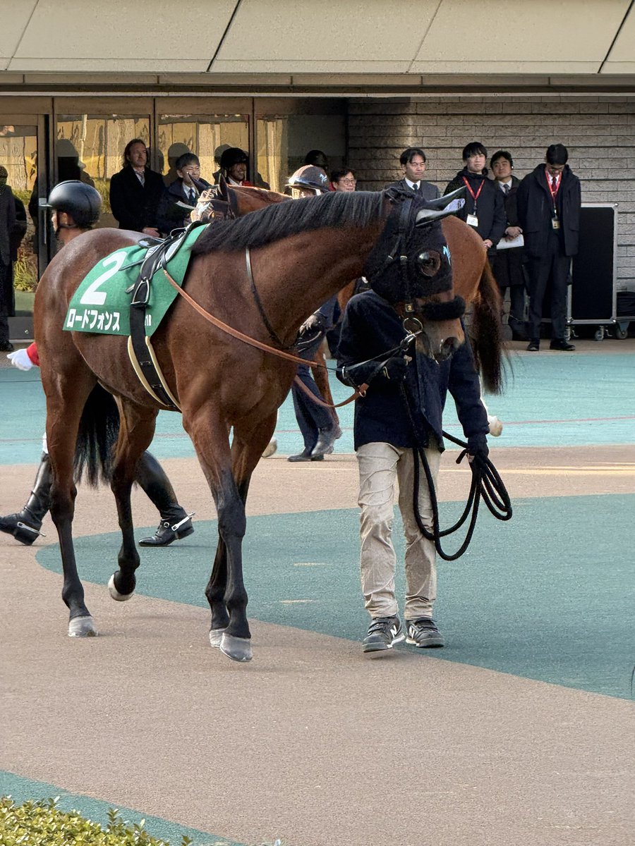 しじみ©️ tweet media