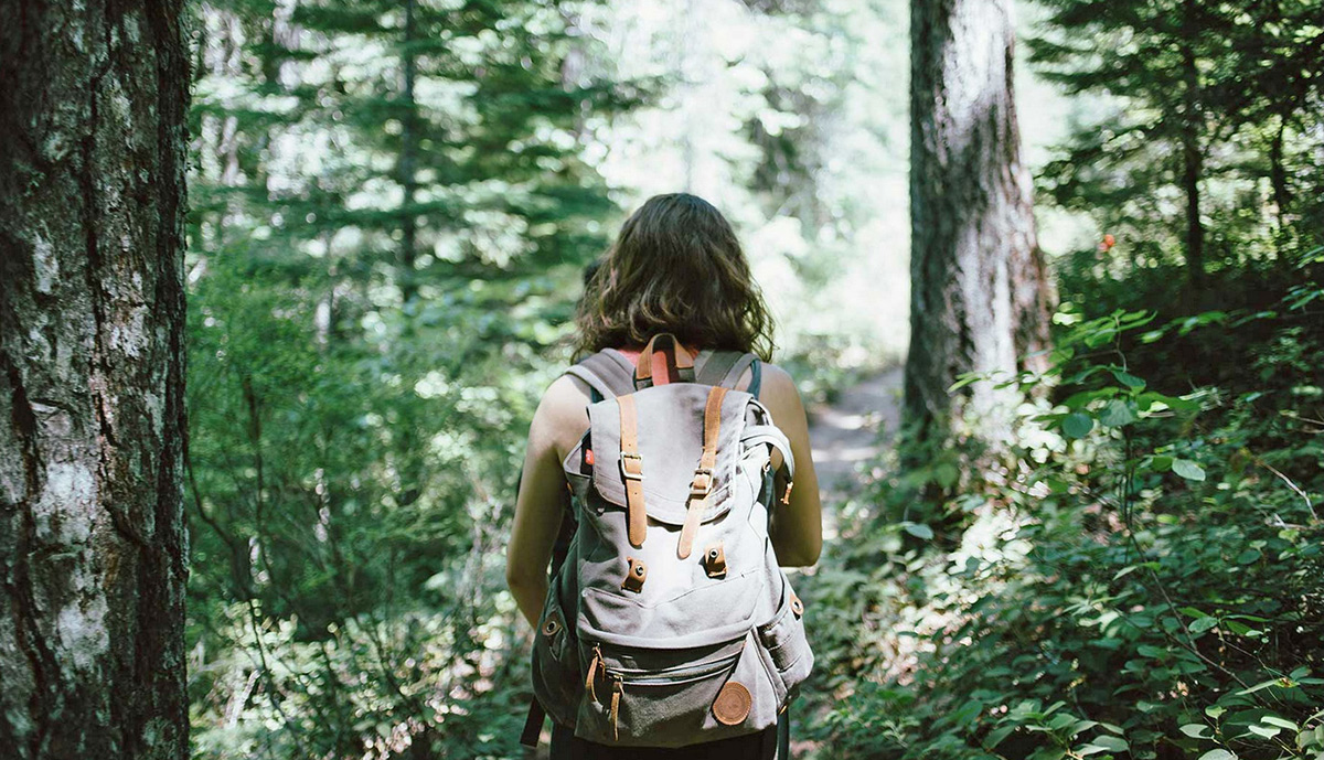 Sherpa07337944's tweet photo. Come un semplice sentiero può allenare il corpo e resettare il cervello meglio di qualsiasi palestra.
#ansia #escursionismo #hiking #sentiero #silenzio #stress #Altri Spazi #Sherpa
https://t.co/RqnDbq9lS1 https://t.co/WZhRiy9DHi
