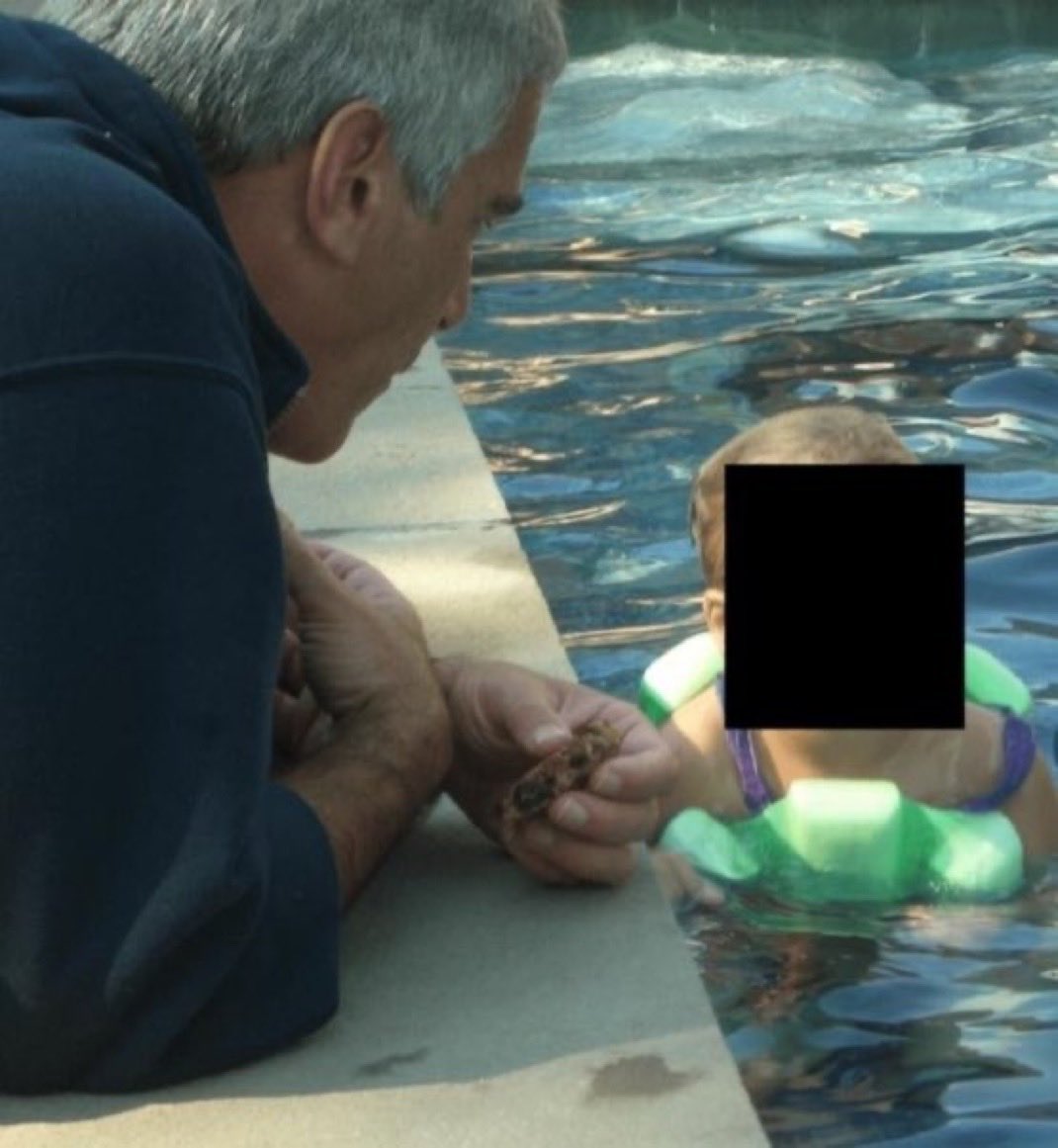 Dünya’yı bir takım yahudi pedofili insan eti yiyen 
sapkın azılı katil
yamyam yönetiyor malesef

nasıl bir çağa denk geldik arkadaş ne rezil bir düzende yaşıyormuşuz haberimiz yok..

#Epstein