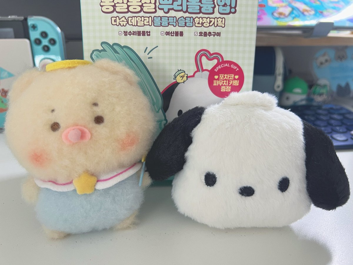 내가 올영을 다녀온 건지
인형 사러 다녀온 건지